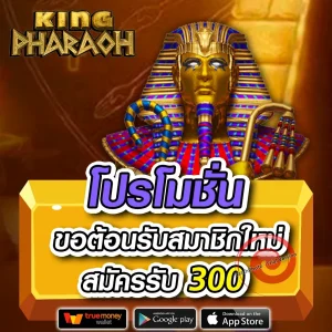 startbet88 ทางเข้า
